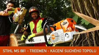 Stihl MS 881 - Treemen s.r.o. - k&aacute;cen&iacute; such&eacute;ho topolu