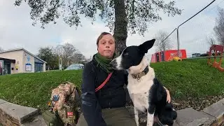 Resetting & Refocusing 🐶 Going Back to Basics | Therapy Dog Training Part 4