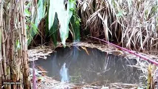inilah sensasi mancing yg sebenar nya, bikin hati senang...#fishing #hobbymancing  #highlights