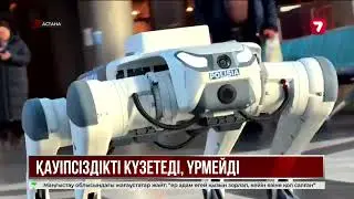 Robot dog monitors security in the capital