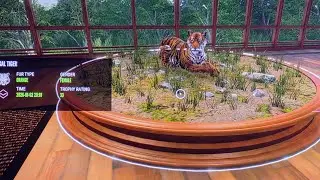 Hunting down my first ever Bengal tiger