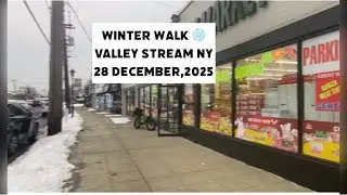 Winter Walk in Valley Stream NY ❄️ | North Central Ave Street Tour (Dec 28, 2025)