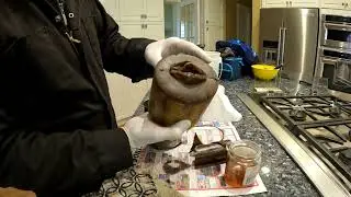 Toilet Paper WVO Filter