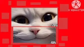Cat white csupo content aware scale