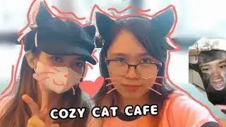FIRST CAT CAFE OF THE BIOTS #vlog #wlw 