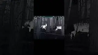 Night Vision Deer Tracking in Total Darkness