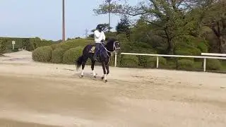 ディープボンド「ﾓｰｲ」
