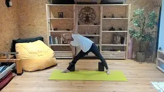 Day 81 Triangle Pose