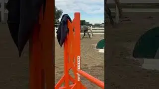 5 year old Cloudbreak 