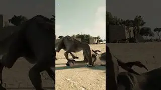 The Australovenator's Chasing and Hunting 🦖 Jurassic World Evolution 2