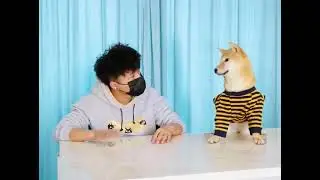 Try Not To Laugh, Funny H&agrave;i Lv |VietFun