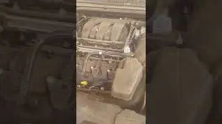 مشاكل التورس