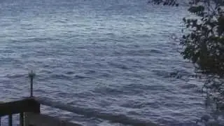 St. Johns River Flows and Currents