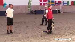 Qualification - Joanna Hewelt + Gingerbell Venom/Border Collie - Poland