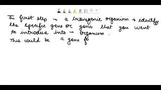 What is the first step in making transgenic organism?