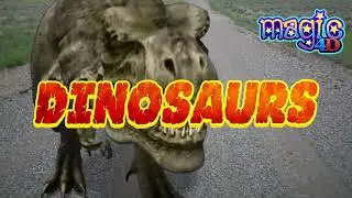 Dinosaurs Video WebOptimized