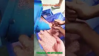 Factory Direct Sale Copper Cable Granulator BS-D75 | 80kg/h Wire Granulator Machine  #cablerecovery