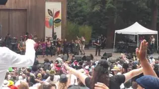 Morris Day and The Time   The Bird