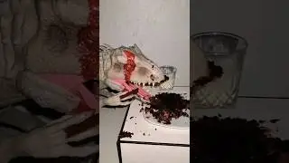Младшему ребенку все сходит с рук #шорты@ryanhdlombard