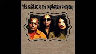 The Krickets n the psychedelic company - Immigrant Blues