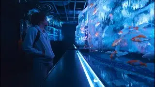 Exploring Museums in Japan&hellip; ( I THREW A NINJA WEAPON🥷🤕)