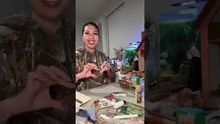 Crafting with Phebe is live! DIY miniature dollhouse builds