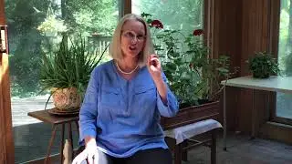 NeuroConnection Update with Vera Lyoubovskya