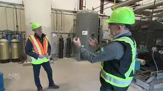 Sustane on CBC National  - Nov 2020