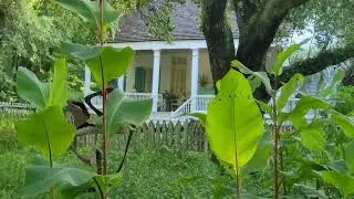 Maison La Madeleine (Lake Martin, Louisiana)