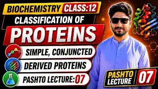 Classification of Proteins|Simple Proteins|Conjugated Proteins||Derived Proteins #pashtolecture