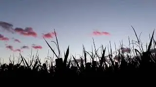 sunset - nature sesh