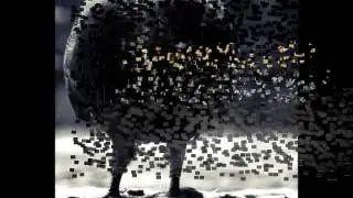 Nos zona _Pomba Preto - POMBAPRETO