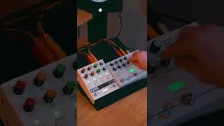 Moog Grandmother + Microcosm + Chroma Console
