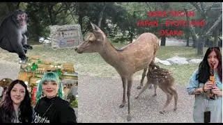 japan vlog!!! first time in kyoto and osaka