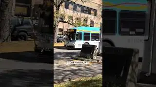 Fall TCAT Spotting - Ithaca, NY