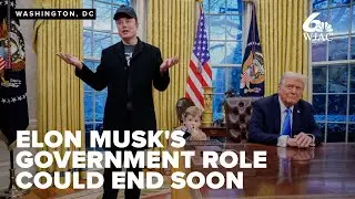Elon Musk's government role could soon end despite Trump's support