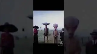 Extraterrestres reales