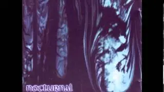 Nocturnal Winds - Warrior of Light