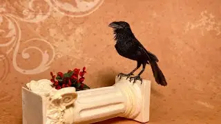 Dollhouse Miniature Raven bird sculpting / How I sculpt realistic polymer clay bird  🧡 - Part 1