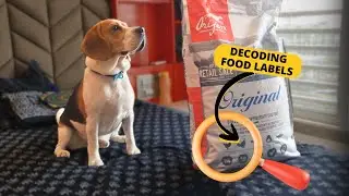 How To Read and Understand a Dog Food Label?