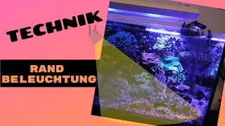 Optimierung der Aquariumbeleuchtung im Randbereich (LED)