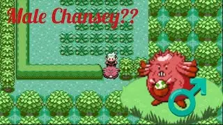 Introducing Male Chansey 😡♂️| Pokemon Phantom Order Beta Showcase ❤️&zwj;🔥💥