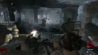 Waw player models go dummy