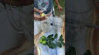 Pure Homemade Lemon Juice | Fresh Lemons from Our Garden#lemon #garden #fittea #lemon