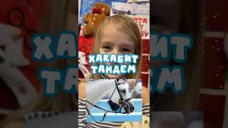 Про хакабит / тандем #хакамора #трензель #амуниция #лошади #верховаяезда