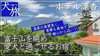 【ホテル凛香｜山中湖】愛犬と泊まれるお宿で、温泉を愉しみ、富士山を眺めて過ごす
