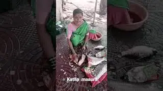 ##katlla##