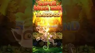 Yono Rummy Game New Tricks ! Jungle Delight Yono Game Unlimited Win Tricks!Yono Games Kaise khele