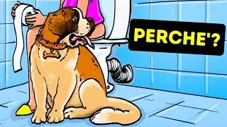 Perché i Cani ci Seguono nel Bagno