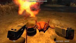 akimbo pistols for 